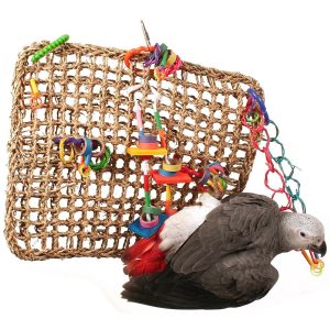 Activity Wall Natural Parrot Toy - Large