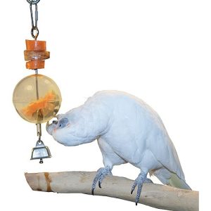 Foraging Sphere Parrot Toy
