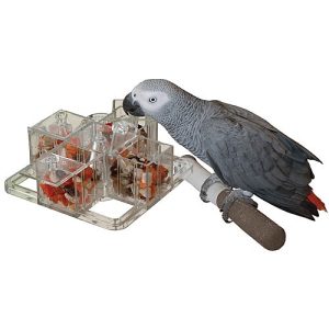 Creative Foraging Carousel - Mentally Stimulating Parrot Toy