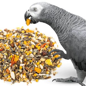Parrot Essentials African Grey Parrot Food Premium Seed Mix