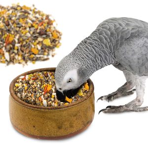 Parrot Essentials African Grey Parrot Food Premium Seed Mix - 15Kg
