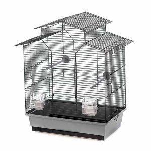 Bird Cage Iza 2 Grey & Black