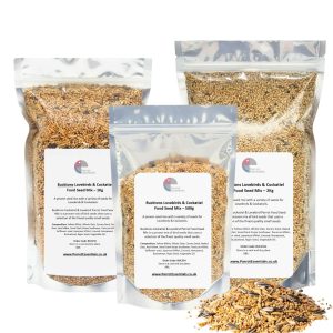 Bucktons Lovebirds & Cockatiel Food Seed Mix
