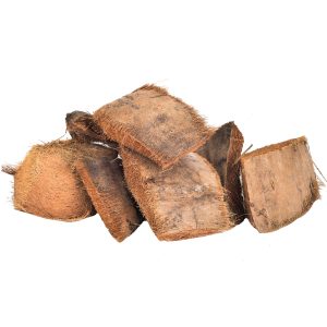 Chew Coconut Shell and Husk Pieces Foot Parrot Toy - Pack of 8