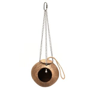 Coconut Fun Ball Foraging Wood Parrot Toy - Large
