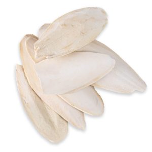 Cuttlefish Bone for Parrots & Cage Birds - 100g Pack