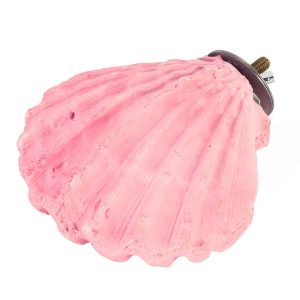 Edible Calcium Clam Parrot Perch - Small