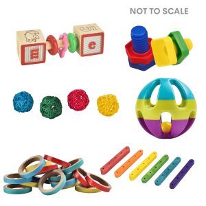 Foot Toy Kit for Medium & Large Parrots