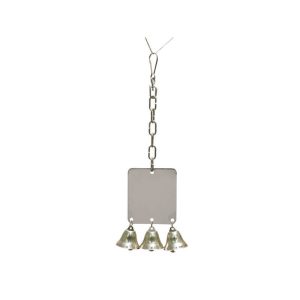 Mirror, Mirror on the Wall Favourite Parrot Toy with Bells - Medium