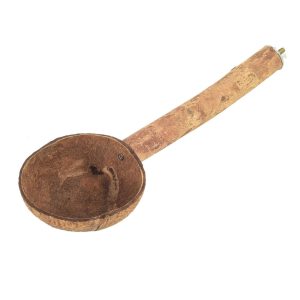 Natural Parrot Perch with Coconut Feeding Cup