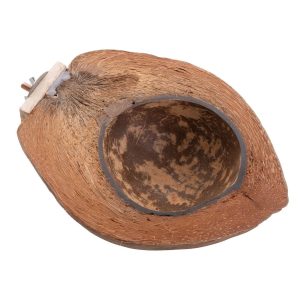 Palm Paradise Feeding Station Natural Coconut Feeding Bowl for Parrots