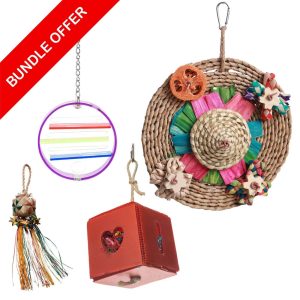 Parrot Essentials Hanging Parrot Toys Pack