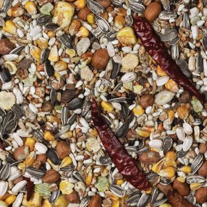 Parrot Essentials Traditional Parrot Food Seed Mix - 1.5Kg