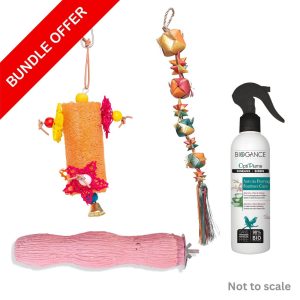 Parrot Essentials Wellness Bundle for Pet Birds - Medium