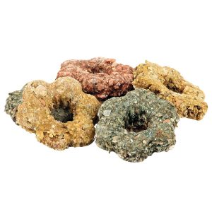 Parrot Cafe Fabulous Flowers Parrot Treats - 100g