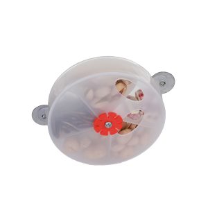 Parrot Essentials Interactive Wheel Foraging Parrot Toy