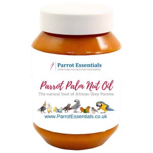 Parrot Palm Nut Fruit Extract Oil - 500ml