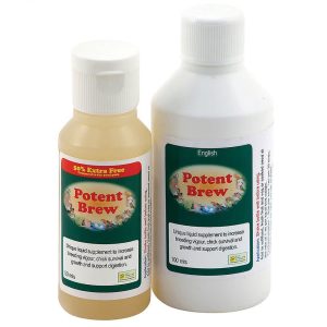 Potent Brew Live Probiotic