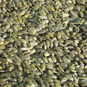 Pumpkin Seeds Parrot Treat - 100g