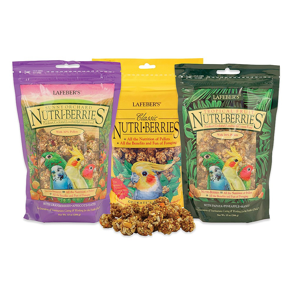 Small Parrot NutriBerries Complete Food - Pack of 3
