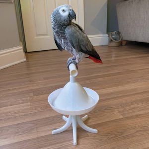 The Percher - Portable Parrot Training Perch