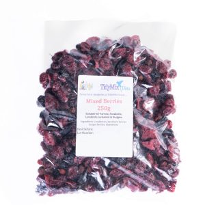 Tidymix Berry Mix Parrot Treat - 250g