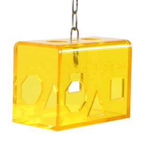 Treasure Box Foraging Parrot Toy for Bird Cages