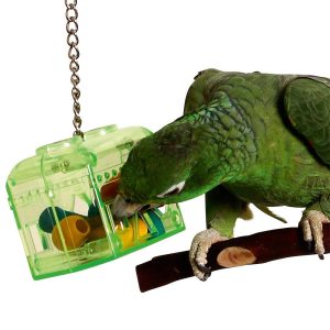 Treasure Hunt Parrot Foraging Toy