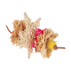 Vine Star Chewing Natural Foot Parrot Toy