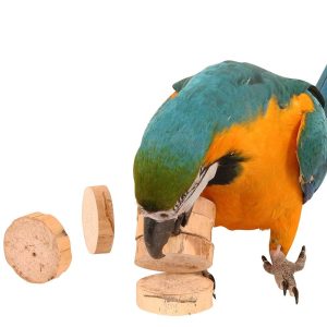 Bird Kabob Parrot Chips