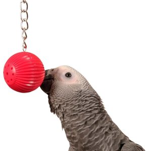 Birdy Babble Ball - Interactive Parrot Toy