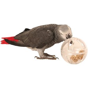 Buffet Party Ball Creative Foraging Parrot Toy