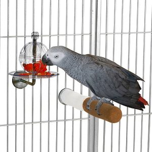 Buffet Ball with Cage Mount - Tough Foraging Toy