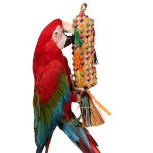 Palm Leaf Coloured Spiked Pinata Natural Parrot Toy - Large