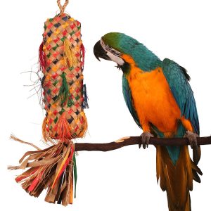 Palm Leaf Coloured Spiked Pinata Natural Parrot Toy - XLarge