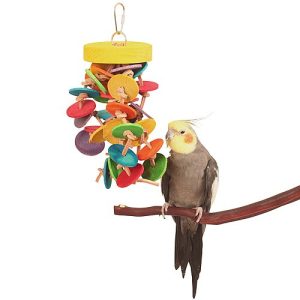 Disks and Knots Wooden Rope Parrot Toy