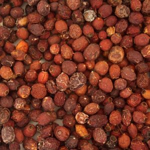 Tidymix Hawthorn Berries Parrot Treat 125g