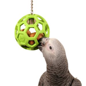 Parrot Essentials Hol-ee Roller Foraging Parrot Toy