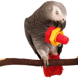 Jumbo Nuts & Bolts Parrot Puzzle Toy - Single