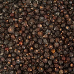 Tidymix Juniper Berries Parrot Treat 125g