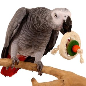 Loofah Disc Natural Foot Parrot Toy