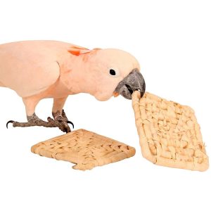 Natural Maize Mat Chewable Parrot Toy - Pack of 2