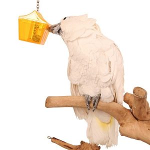 Parrot's Treasure - Tough Foraging Toy for Parrots