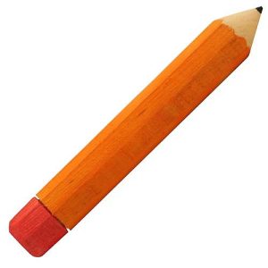 Parrot Pencil Foot Toy - Large