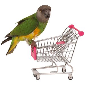 Shopping Trolley Interactive Parrot Toy