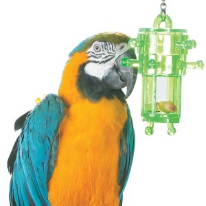 Snack Rack - Multi-Level Foraging Toy for Parrots